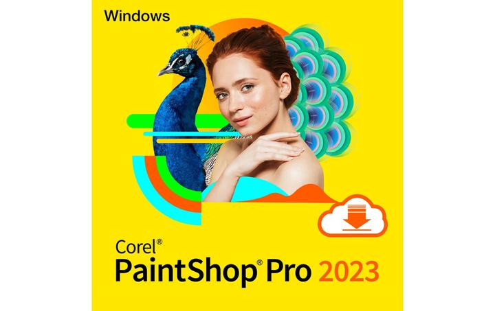 Produktbild Corel PaintShop Pro 2023 (Key) (1 User, 1 Geräte/User, unbegrenzt)
