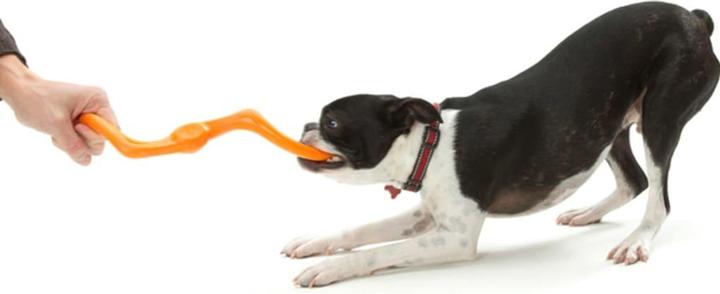 Produktbild West Paw Bümi S Hundespielzeug (Kauspielzeug Hund)