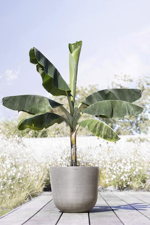 Image du produit Ecopots Oslo (55 cm)
