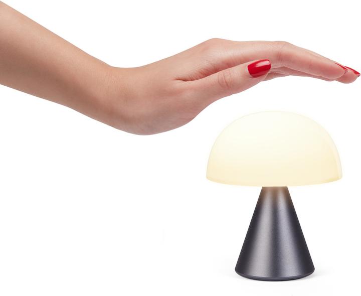 Actual product image Lexon Mina (40 lm)