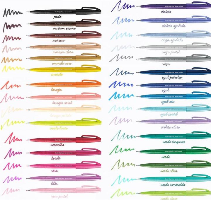 Actual product image Pentel Brush Sign Pen