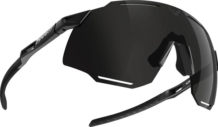 Actual product image Dynafit Alpine sunglasses unisex