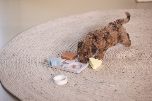 Productafbeelding Beeztees Puppy braingame Lot (Intelligentie speelgoedhond)