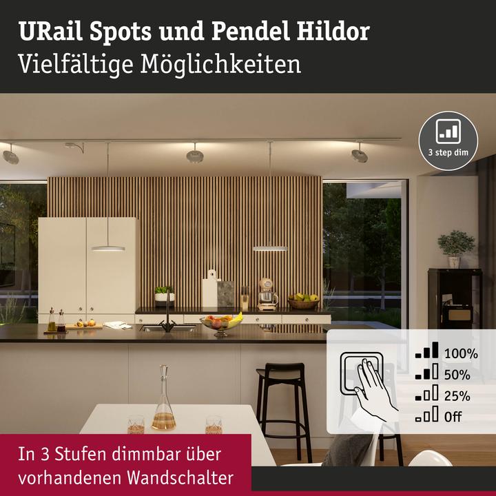 Image du produit Paulmann URail Suspension Hildor (1390 lm)
