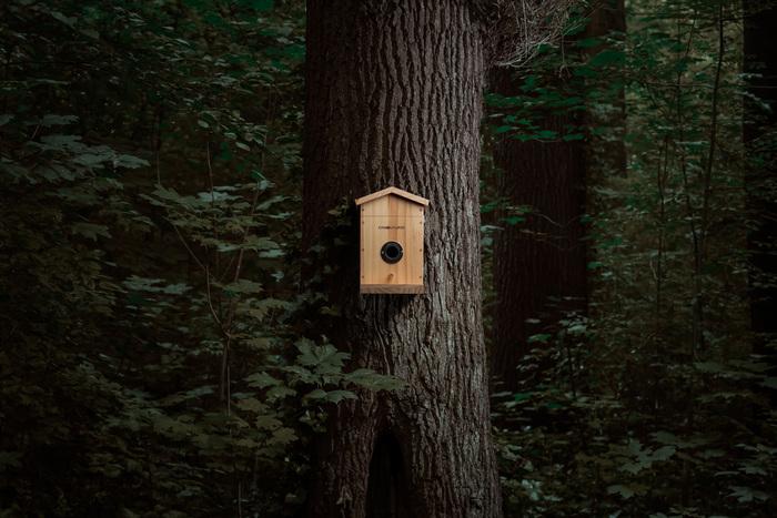 Actual product image Camouflage bird house EZ Nesteye, Basic colour: Brown, Species: Bird