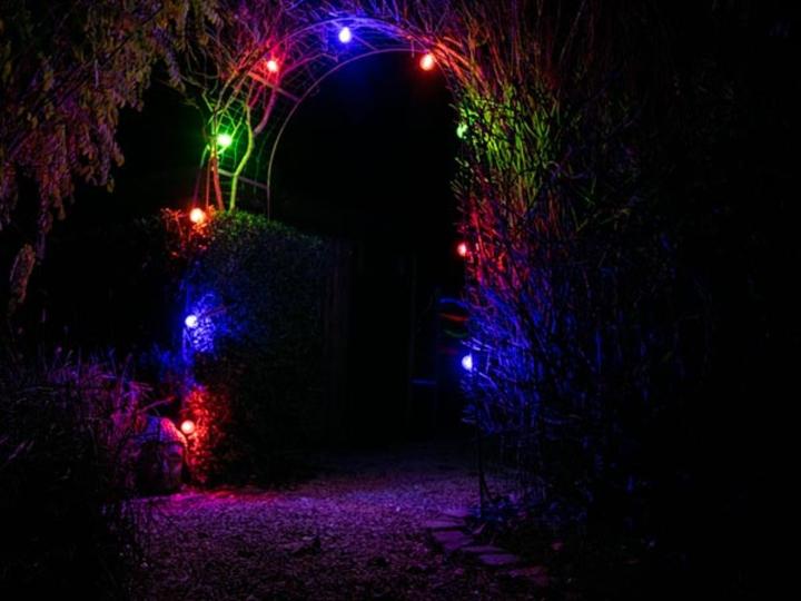 Image du produit X-mas & Gadget light - ropelight GUIRLANDE DE FÊTE À LED - 20 x DOUILLE E27 - SANS AMPOULES - 10 m (10 m)