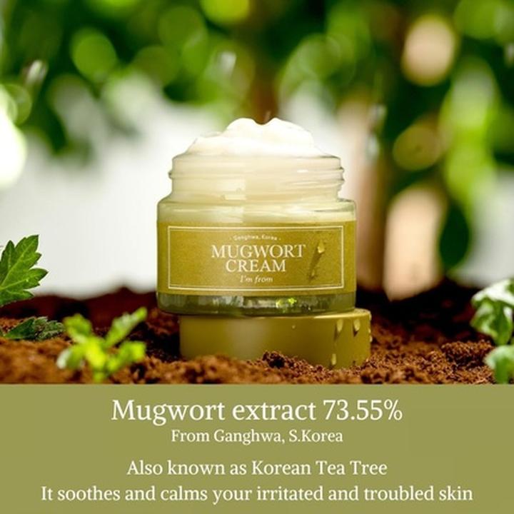 Actual product image I'm From Mugwort cream (50 ml, Day cream)