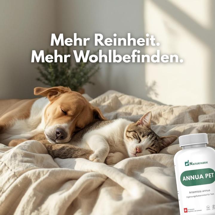 Produktbild Naturfabrik Annua Pet 90 Kapseln