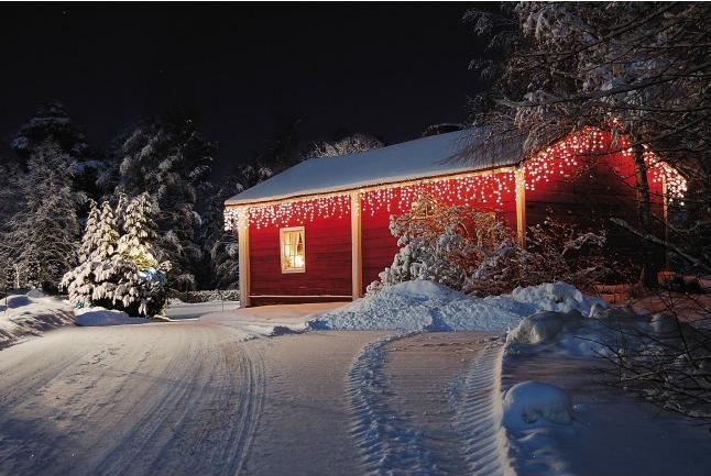 Actual product image Showtec LED-Gummi-Zapfen FX Licht WW Weiss - 200 LEDs - 5 m