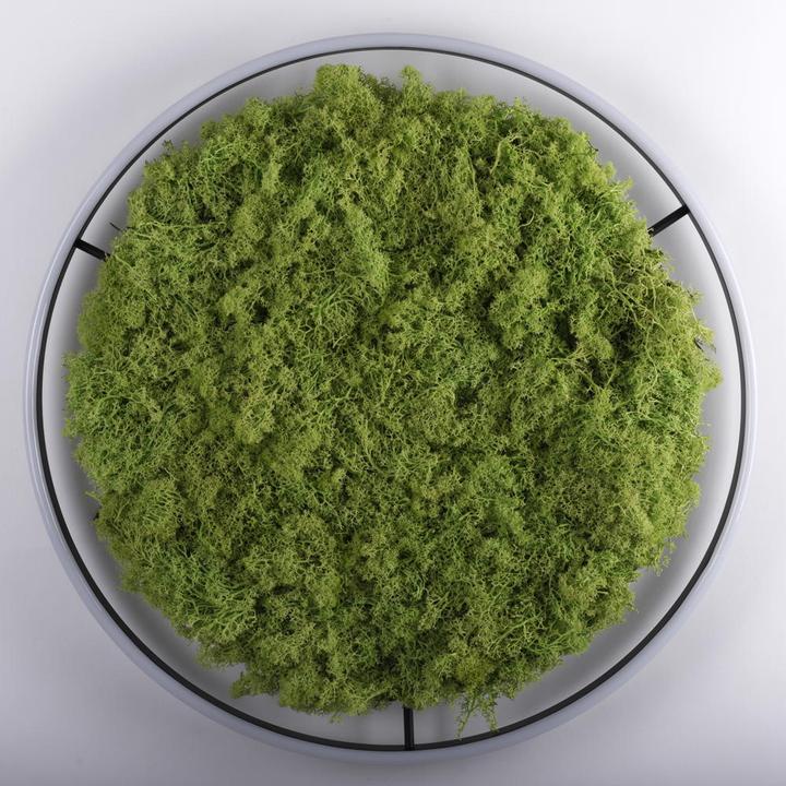 Produktbild Leuchten Direkt Green Ritus (3650 lm)
