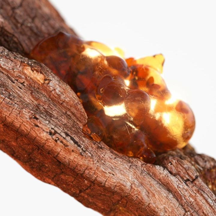 Actual product image Tommy Hilfiger TOMMY NOW - Eau de Toilette (Eau de toilette, 100 ml)