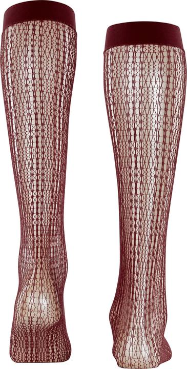 Actual product image Falke Crossroads KH (One size)