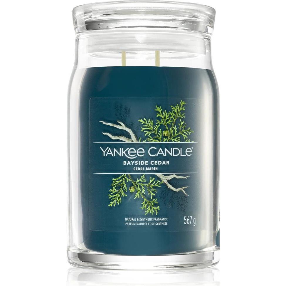 Yankee Candle Blu Candela Profumata, Duftkerze Bayside Cedar Signature Large Jar
