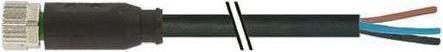 Produktbild Murr Elektronik Murrelektronik Limited Straight Female 4 way M8 to Unterminated Sensor Actuator Cable, 5m