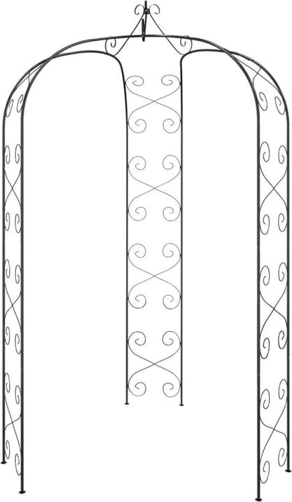 Immagine prodotto vidaXL Gartenbogen (255 cm, 180 cm)