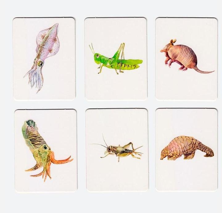 Produktbild Finde meinen Doppelgänger (Deutsch, George, Marcel Wade, Rosalyn, 2019)