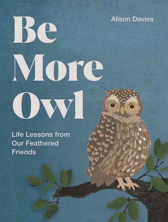 Be More Owl (Englisch, Alison Davies)