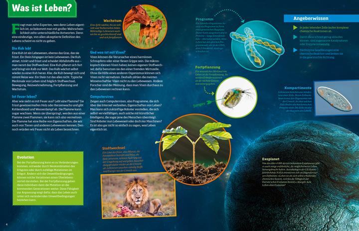 Actual product image Tessloff WAS IST WAS Abenteuer Evolution. Das Wunder des Lebens (German, Manfred Baur, 2020)