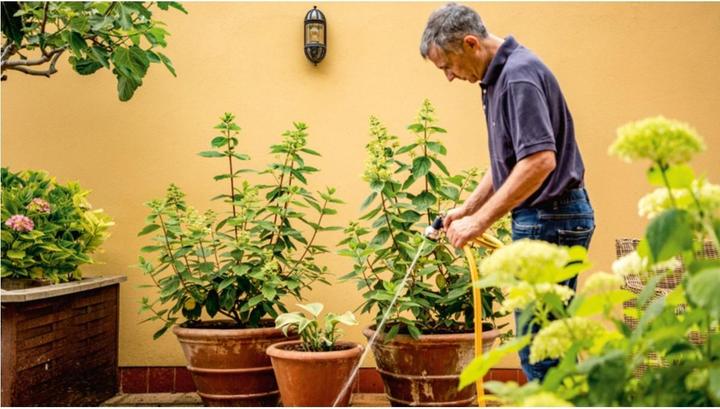 Productafbeelding Bosch Home & Garden Tuinpomp 18V-2000 Kit (Pomp voor regentonnen, Tuinpomp)