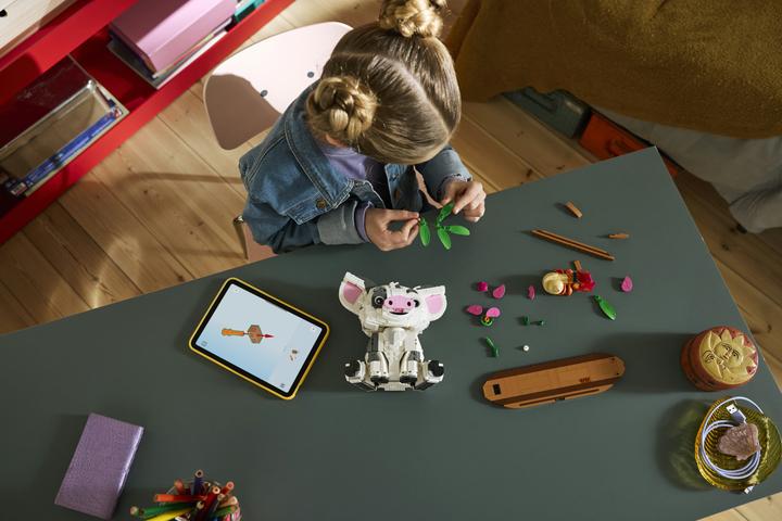 Image du produit LEGO 43292 Pua
