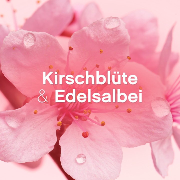 Productafbeelding Lenor Kersenbloesem & edele salie (56 Wascycli, Fles)