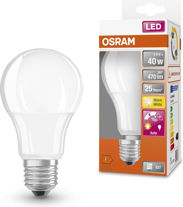 Productafbeelding Osram LED Monochroom (E27, 6 W, 470 lm, 1 x, G)