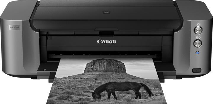 Actual product image Canon Pixma Pro-10s (Ink, Colour)