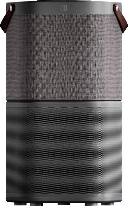 Produktbild Electrolux PA91-404DG (92 m²)