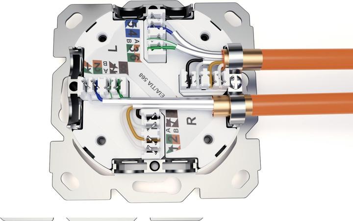 Actual product image Digitus Network socket