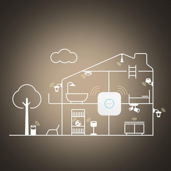 Actual product image Philips Hue White Ambiance Enrave (6500 lm)