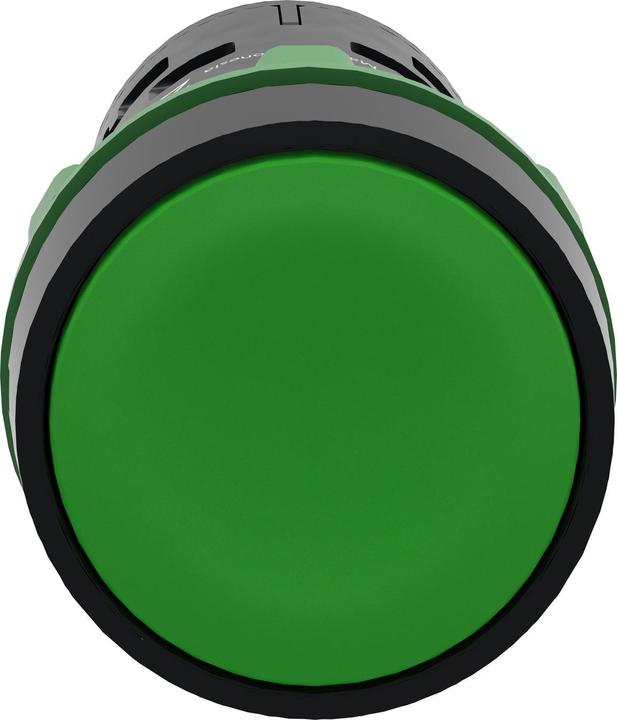 Produktbild Schneider Electric Push button Spring Rtn green NO+NC