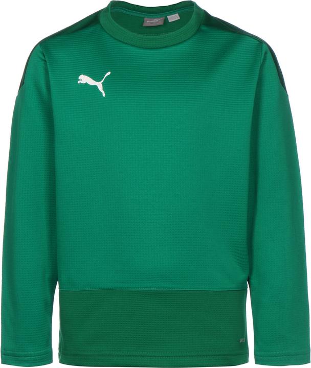 Actual product image Puma TeamGOAL 23 Training Sweat Kids (128)