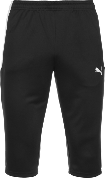 Produktbild Puma TeamLIGA Trainingshose Herren (XL)