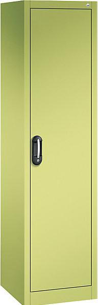 Gris clair RAL 7035, Vert viridien RDS 1108060