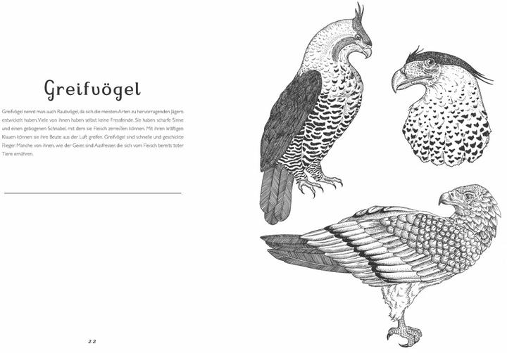 Actual product image The Museum of Animals. My coloring book