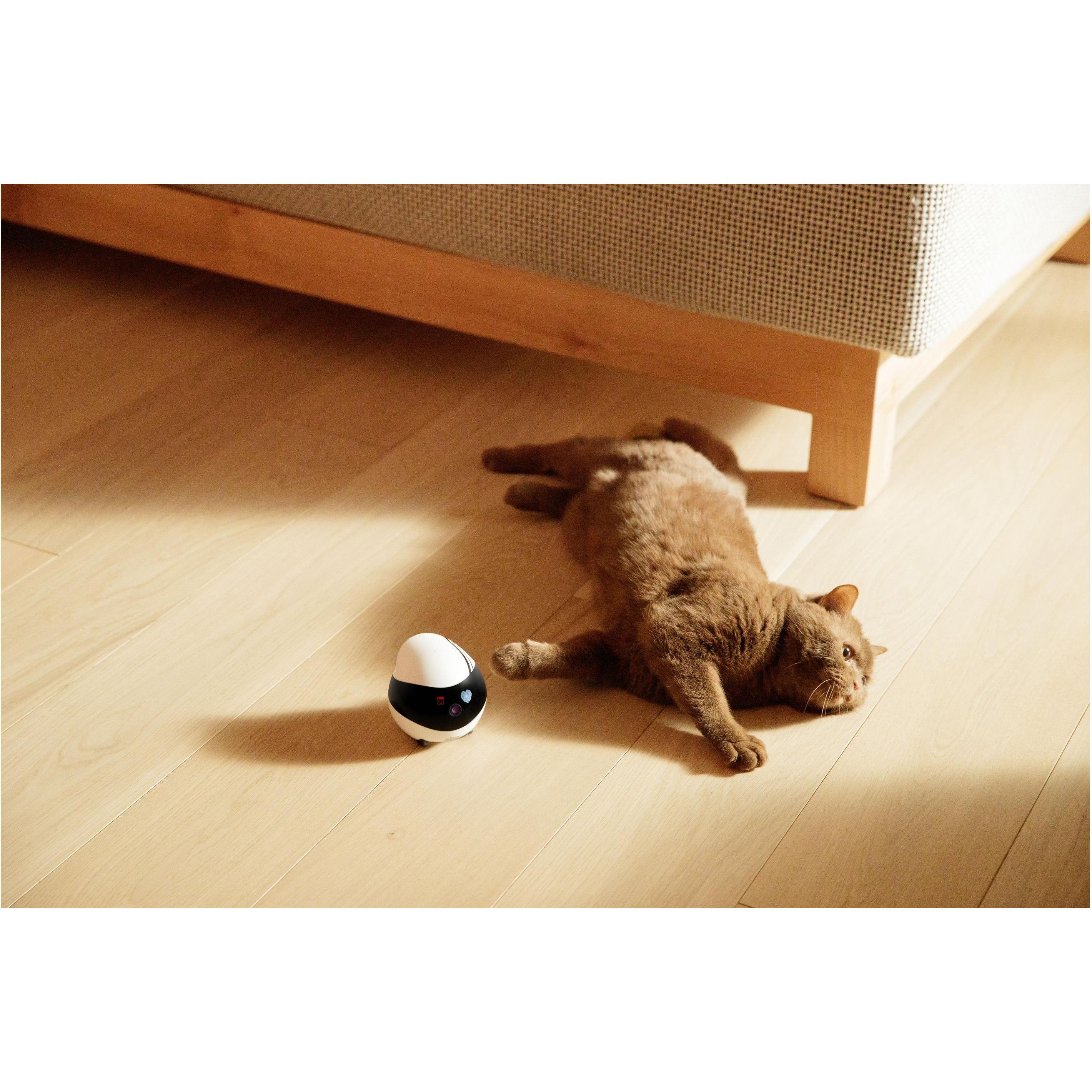 Thumbnail - Enabot EBO Air (1920 x 1080 Pixels), Netzwerkkamera, Schwarz, Weiss