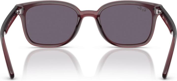 Produktbild Ray Ban RB4461D