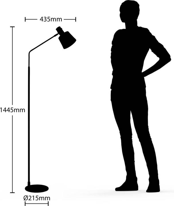 Actual product image Lindby Vlada floor lamp for reading, brass, black (E27)