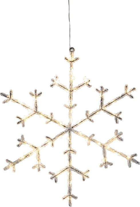 Actual product image Star Trading Ice Star