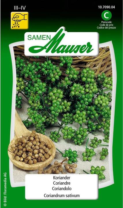 Samen Mauser Coriandre (Graines d'herbes aromatiques)