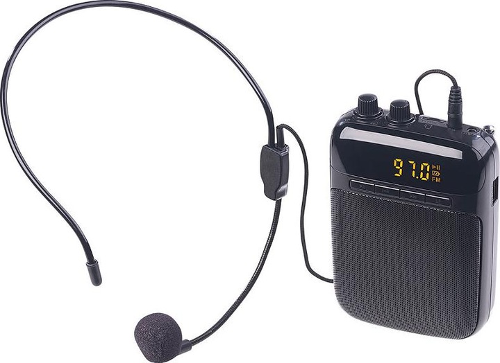 Actual product image Auvisio Digital voice amplifier with recording function