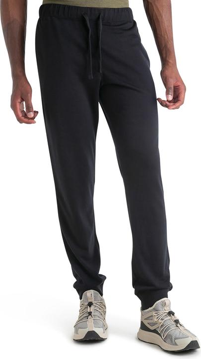 Icebreaker Shifter II Pants