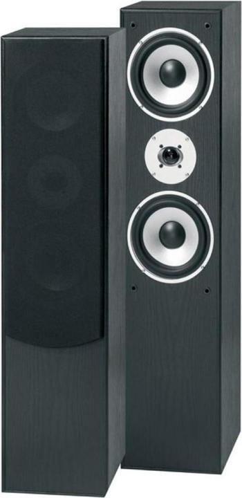 Actual product image Fenton SHFT60B (1 pair, 350 W)