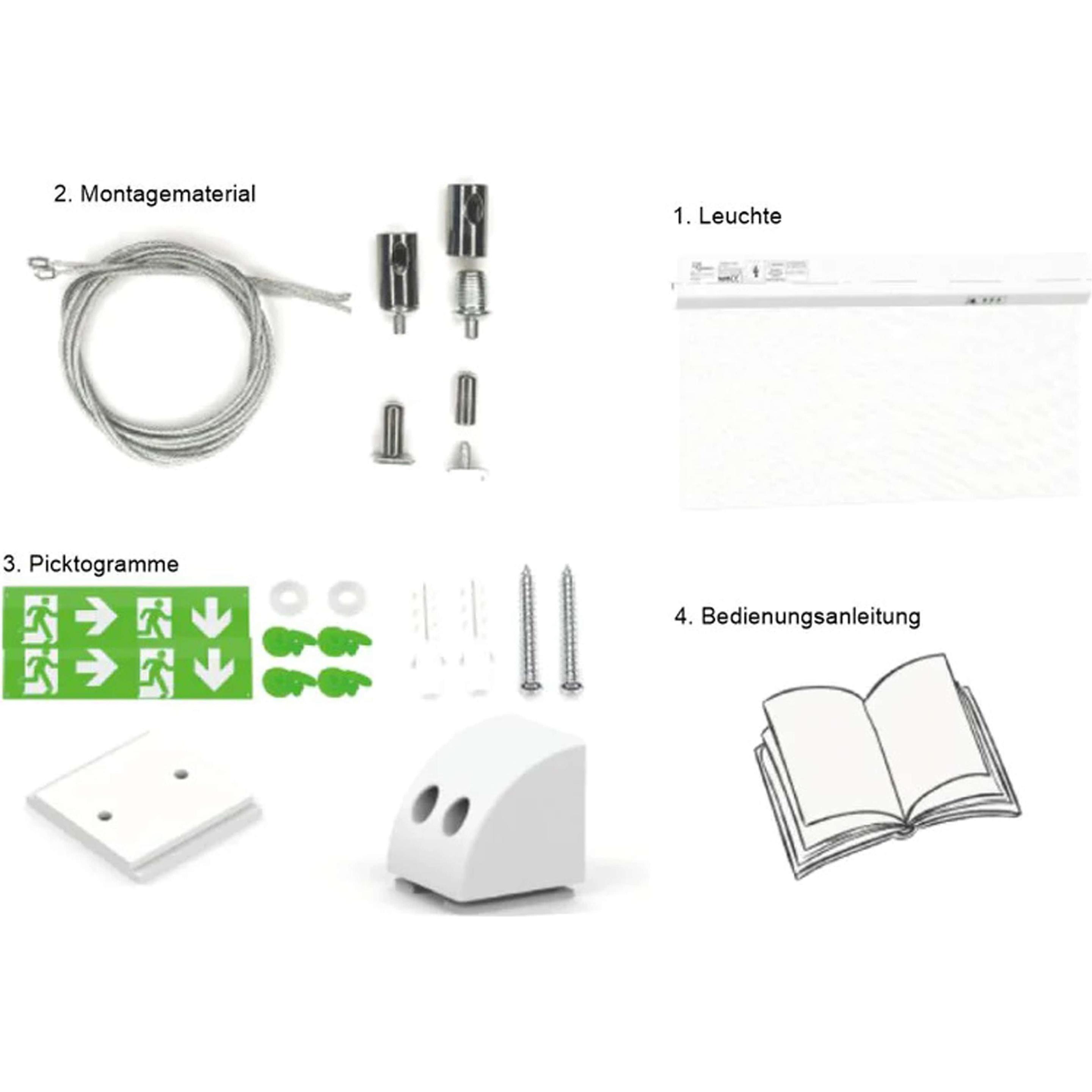 Thumbnail - Enovalite, Personenschutz, LED-Fluchtwegleuchte