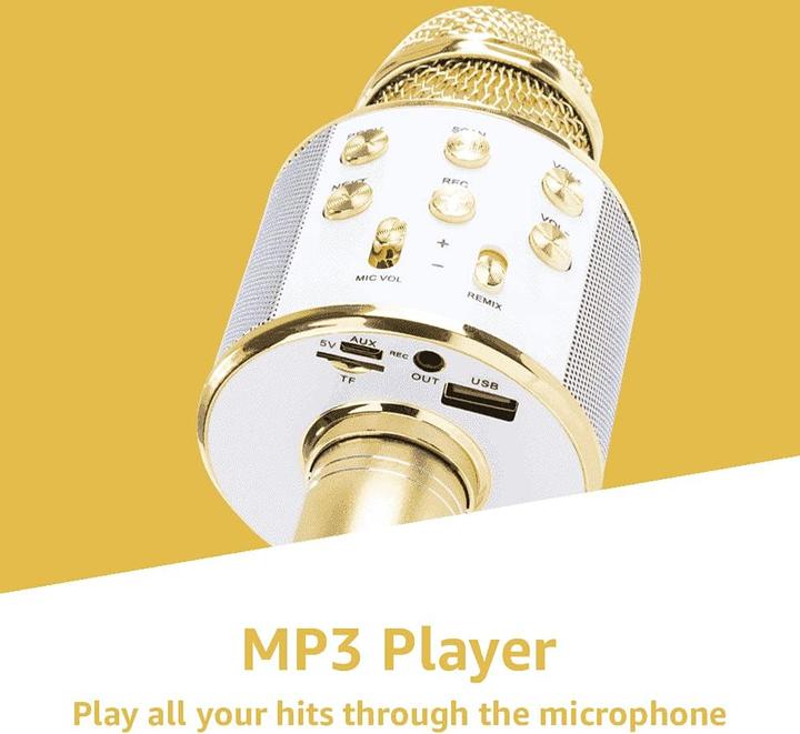 Produktbild Max Music Karaoke Mikrofone