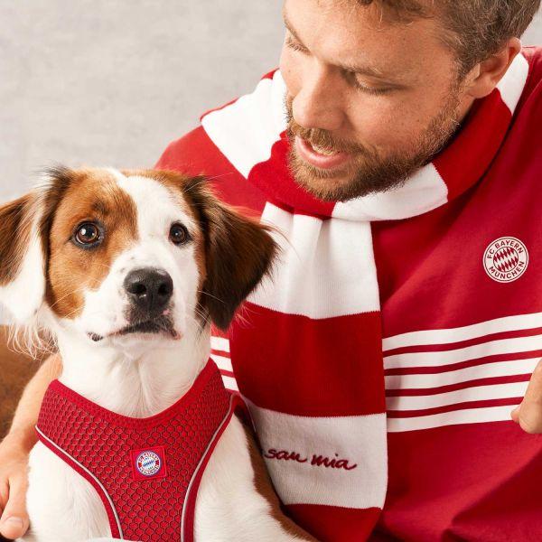 Produktbild Hunter Dog Harness Hilo FC Bayern München XXS-XS - (69251) (XXS, Hund, Hundesport)