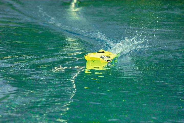 Actual product image Carson race shark