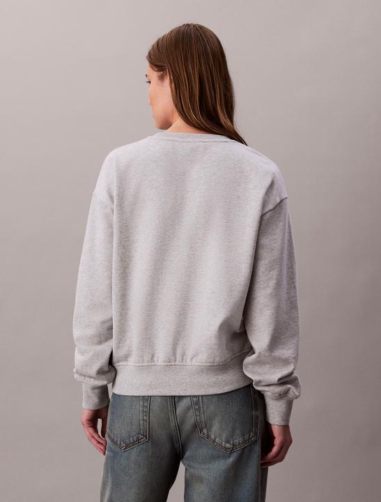 Produktbild Calvin Klein Jeans Ls Archive Logo French Terry Rlx (S)