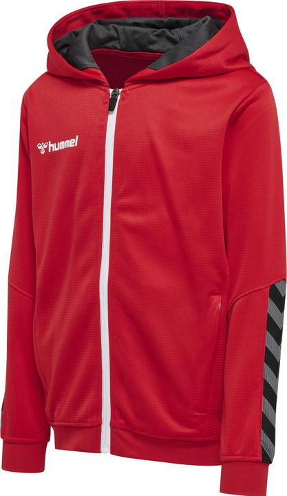 Produktbild hummel Authentic Kids Poly Zip Hoodie (176)