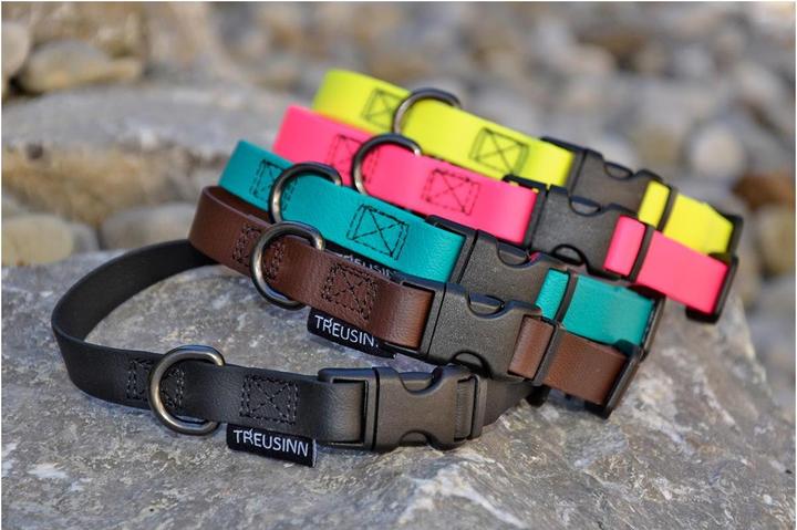 Immagine prodotto Treusinn. Collare per cani Biothane STAY (S, Cane, Generale)